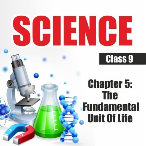 Diagnostic Assessment - Scoring top marks in board exams,Class 9 Science